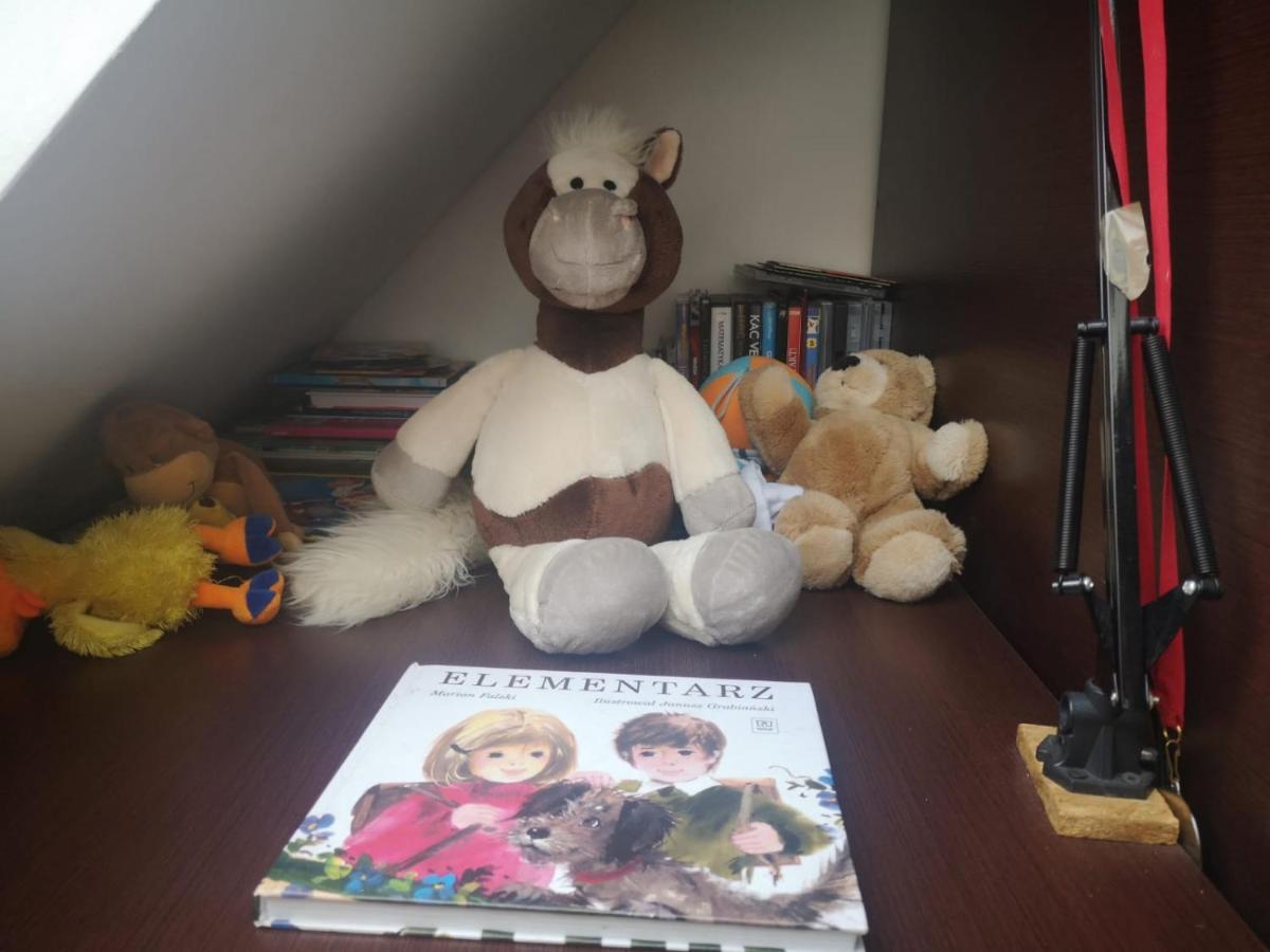 Apartamenty Lena 16 Twoje Poddasze Racibórz エクステリア 写真