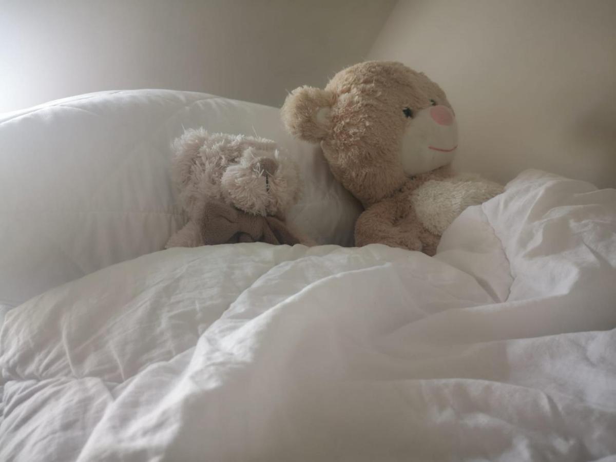Apartamenty Lena 16 Twoje Poddasze Racibórz エクステリア 写真