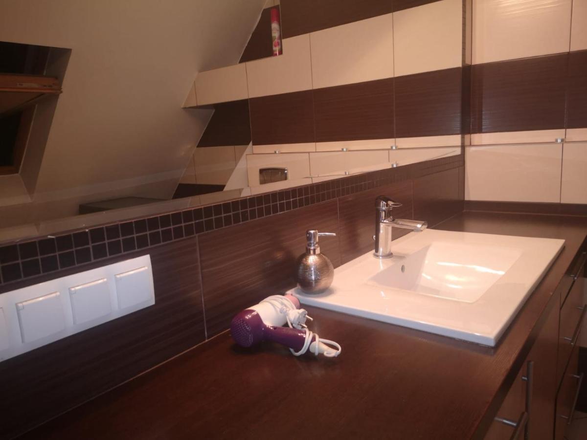 Apartamenty Lena 16 Twoje Poddasze Racibórz エクステリア 写真
